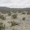 Beyond the corral at Sands is an old ranch fence that heads off into the distance