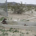 A large trough just outside the shed looks like it was intended to collect water pumped from the well