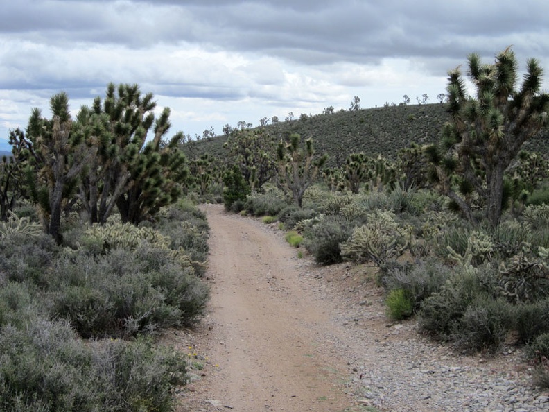 The first part of the backtrack ride away from the Pine Spring area rolls in between some low hills