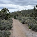 The first part of the backtrack ride away from the Pine Spring area rolls in between some low hills