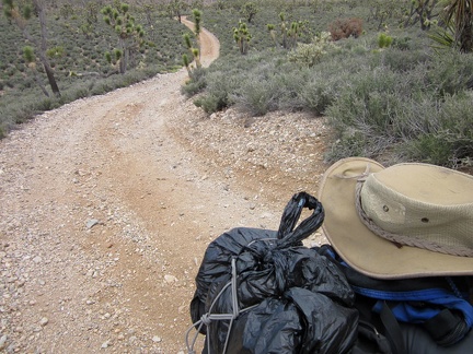 I've just climbed up the single short, steep hill on the way out of Pine Spring