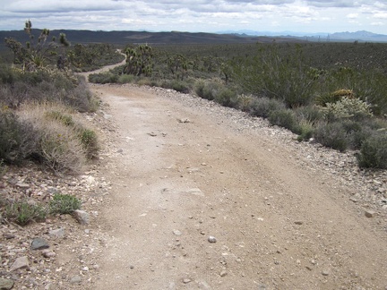 This part of Pine Spring Road is fun to descend, with a drop of about 600 feet elevation in 1.5 miles to the powerline road