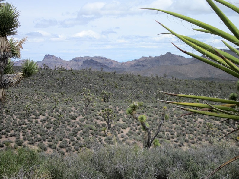 On the other side of Piute Valley is the Highland Range, about which I know little