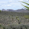 On the other side of Piute Valley is the Highland Range, about which I know little