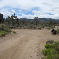 I take a short break at the junction of Pine Spring Road and the powerline road, looking back toward the McCullough Mountains