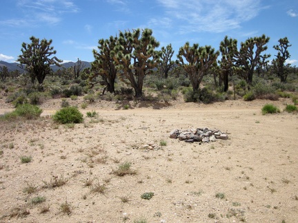 Nearby, a campsite and fire ring are on the other side of the road from the Wee Thump Wilderness