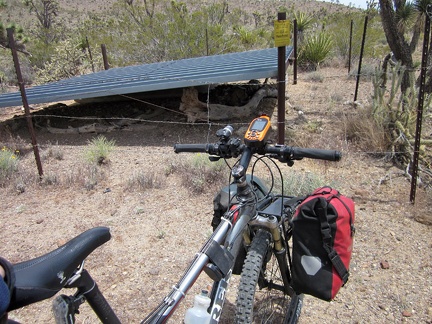 It turns out that the short dead-end road ends at a guzzler (a contraption for storing rain water for later use by wildlife)