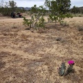 Back on the "main road" on the east side of Wee Thump Wilderness, I stop for another quick break to take off my sweater