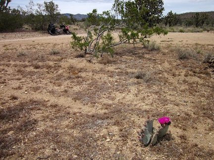 Back on the "main road" on the east side of Wee Thump Wilderness, I stop for another quick break to take off my sweater