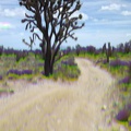 A moment of panic ensues when I drop my camera and it no longer takes good photos