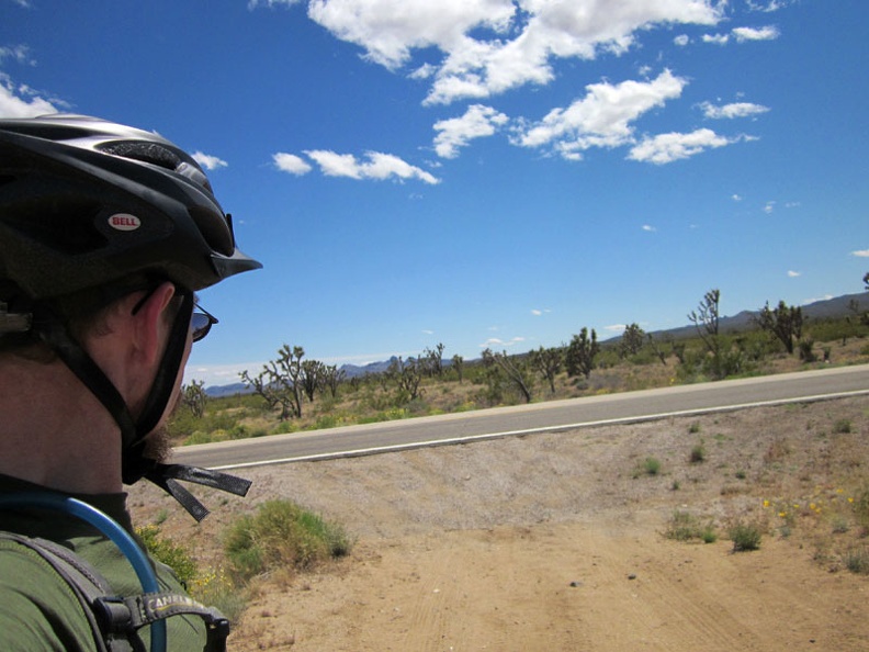 The so-scenic ride through the joshua-tree forest along Wee Thump Wilderness ends here; time to ride the highway for a bit