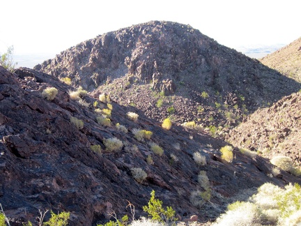 I take note of small tufts growing in the rocks as I walk down this Sleeping Beauty canyon that I didn't plan to explore