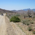 A pick-up truck passes me on Wild Horse Canyon Road, a major event