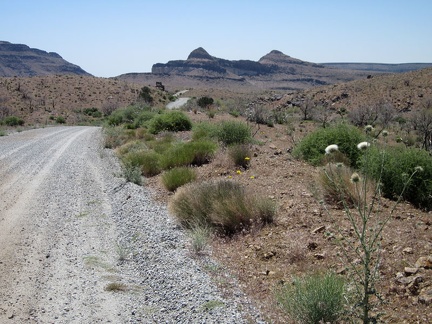I continue riding down Wild Horse Canyon Road toward the Wild Horse Mesa area, watching for the easy-to-miss Bluejay Mine Road