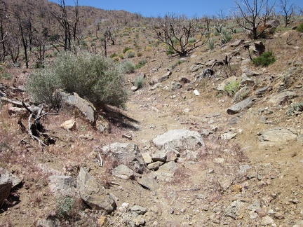 Like so many desert backroads, Bluejay Mine Road deteriorates as it approaches its end