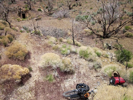 Bluejay Mine Road ends here, so I stash my bike in the brush, lock it up, and begin today's hike