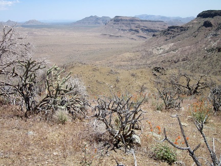 From Hill 1713, I can see across Gold Valley to Twin Buttes and the Woods Mountains