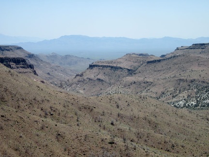 Beecher Canyon, scenic and tempting, but I'll stay up here on the saddle a bit longer so I can hike down into Globe Canyon