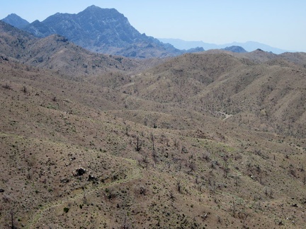 As I descend into Globe Canyon, I can see over to the high points of the Providence Mountains