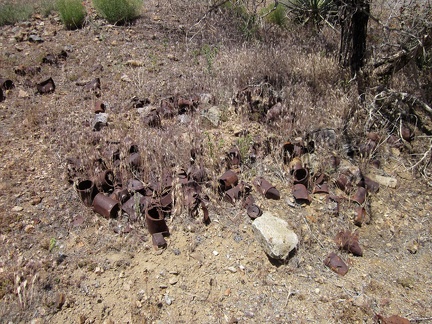 Nearby in this fork of Globe Canyon is a small can dump