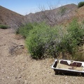 I pass an old sink while hiking up Globe Canyon Road
