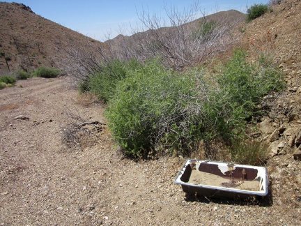 I pass an old sink while hiking up Globe Canyon Road