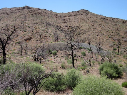 I pass another tailings pile along Globe Canyon Road