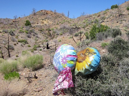 I'm almost at Summit Spring, but I notice a couple of stray balloons nearby; I take a short detour to look at them close-up