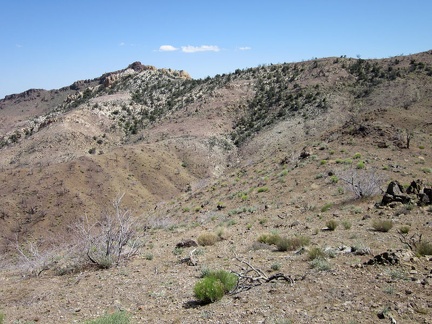 I'm on the Providence Mountains ridge again, so I look to the south toward a hiking route as yet unexplored