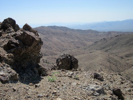 The little rock outcrops on the Providence Mountains ridge keep attracting my attention