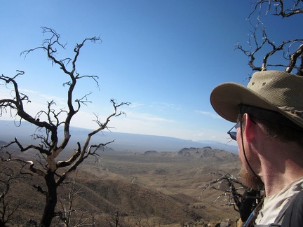  As I rise, I enjoy the views across Macedonia Canyon over to Cima Dome in the distance