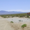 Also near the beginning of Ivanpah Road is one of those "entering Mojave National Preserve" monuments