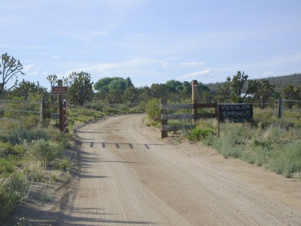 A little further up Cima Road is the Kessler Springs Ranch property, which is inhabited and off-limits to Preserve visitors