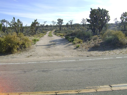 Across Cima Road from Kessler Springs Ranch is a dirt road that leads to Cut Spring