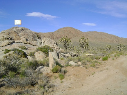 At the summit of Cima Road, I pull in at Sunrise Rock and go about selecting a campsite