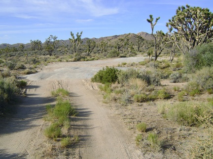 I ride down the sandy road by Sunrise Rock to choose a campsite