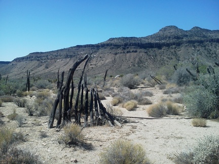 I pass the remains of an old corral fence in front of the Woods Mountains made from unhewn wood