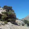 Shade! A big boulder with a few pinon pines around it in the canyon between Twin Buttes and Table Mountain