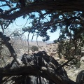 I take five minutes under the pinon pine and behind the rock, might be the last shade I get for a while!