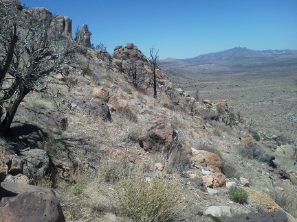 As I wind around the flank of Table Mountain, I start to see across to the New York Mountains; this is as high as I can go