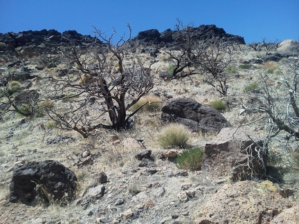 Hmmm... the Table Mountain summit is just up there, yet I'm going to pass and head downward... I hate vertigo!