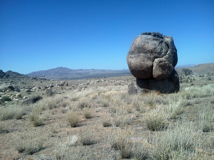 Fist rock, with New York Mountains in the background