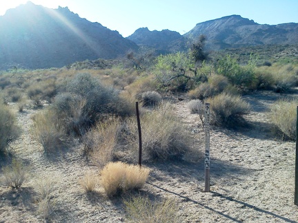 Well, I exit the Wilderness boundary and take a look back at Twin Buttes and Table Mountain before hiking back up Woods Wash Rd