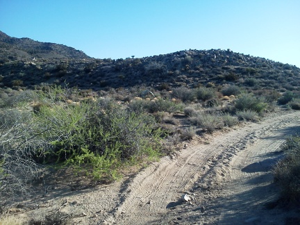 On the final 1.3 miles hiking up Woods Wash Rd, I think about how no motor vehicles have come down this road in a few days