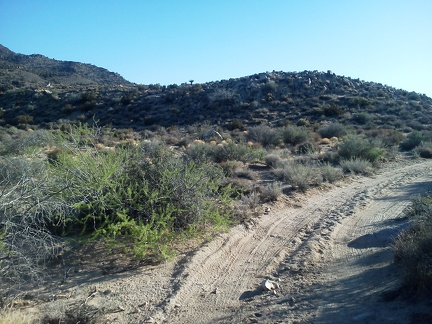 On the final 1.3 miles hiking up Woods Wash Rd, I think about how no motor vehicles have come down this road in a few days