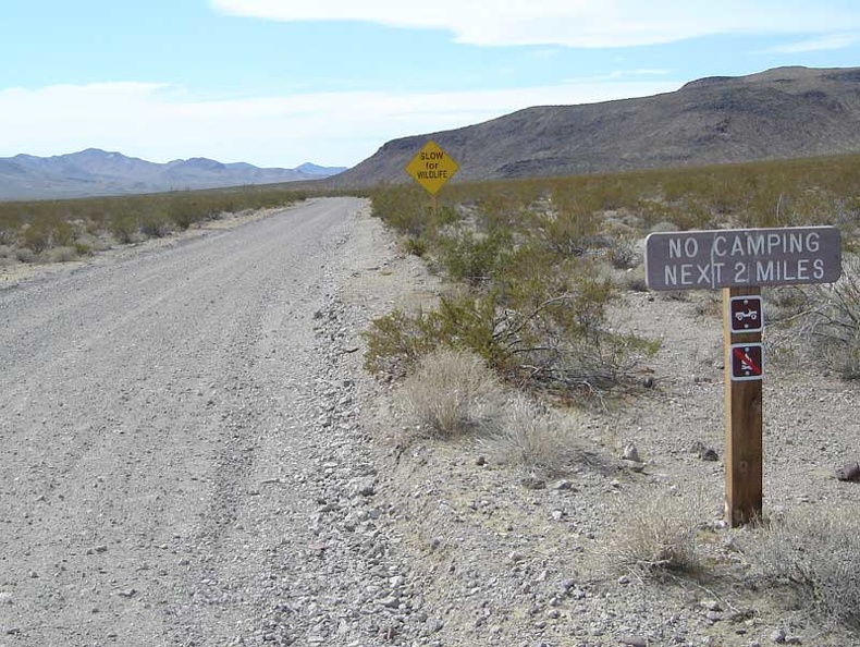 Greenwater Valley Road: watch out for wildlife, and no camping first two miles