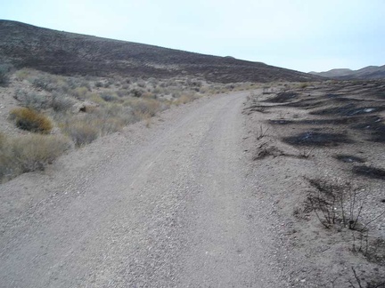 Back on my bike after repairs, Gold Valley Road rises into an area where there has been a brush fire