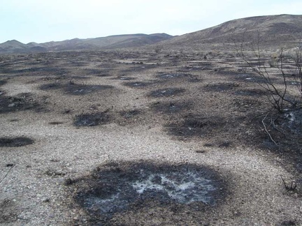 Close up of the burn from the Gold Valley Road fire is interesting