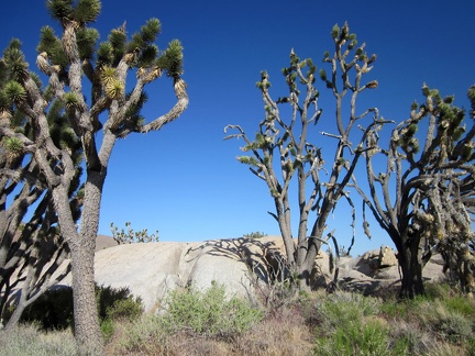 The area here below Teutonia Peak is also known for its big boulder outcrops