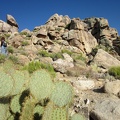 Heather climbs up the top of the Teutonia Peak Trail past another patch of "pancake cactus"
